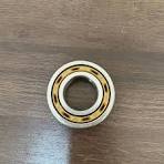 Current Status of China and International Technologies for New Energy Vehicle Drive Motor Bearings
